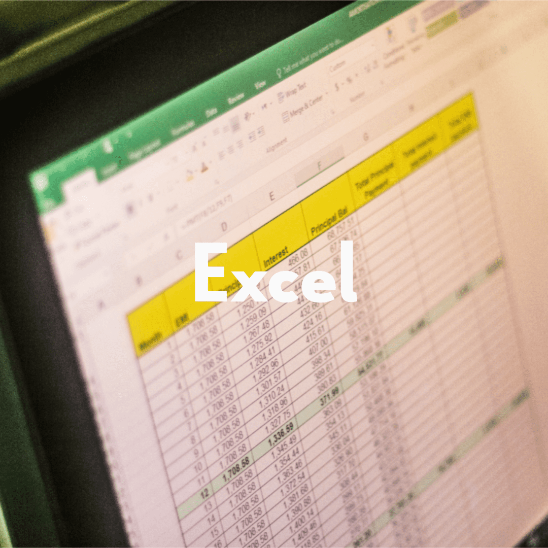 EXCEL